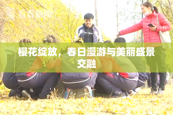 樱花绽放，春日漫游与美丽盛景交融