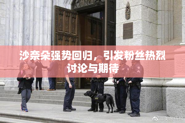 沙奈朵强势回归，引发粉丝热烈讨论与期待