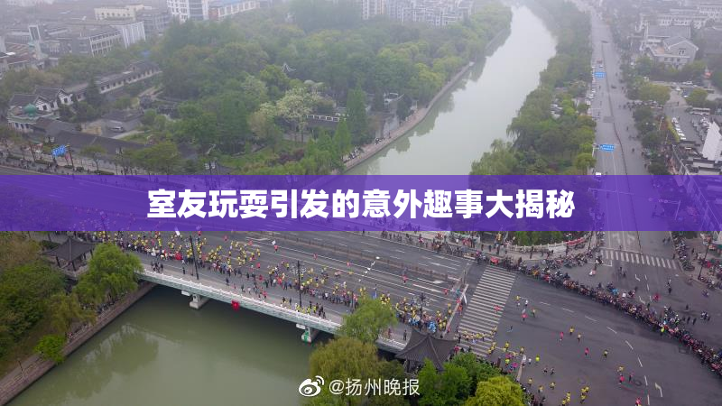 室友玩耍引发的意外趣事大揭秘