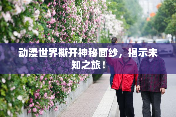 动漫世界撕开神秘面纱，揭示未知之旅！
