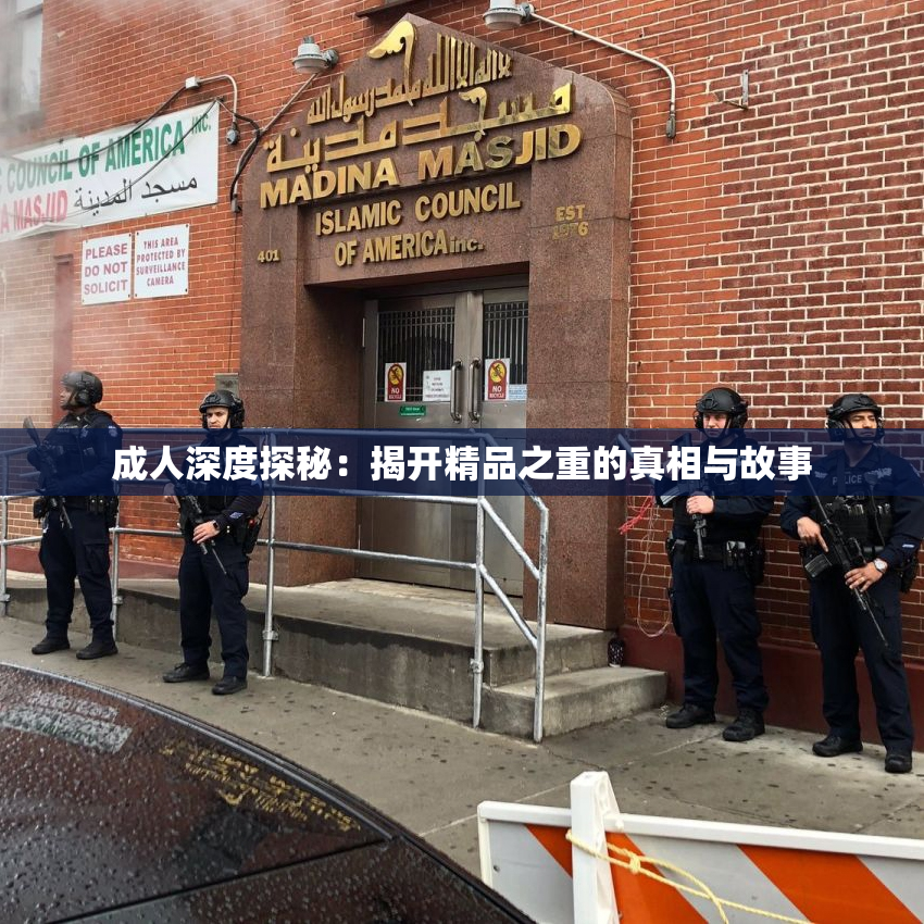 成人深度探秘：揭开精品之重的真相与故事