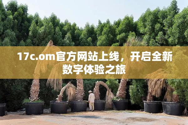 17c.om官方网站上线，开启全新数字体验之旅