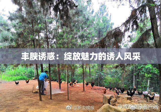 丰腴诱惑：绽放魅力的诱人风采