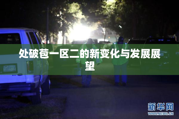 处破苞一区二的新变化与发展展望