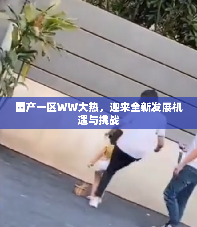 国产一区WW大热，迎来全新发展机遇与挑战