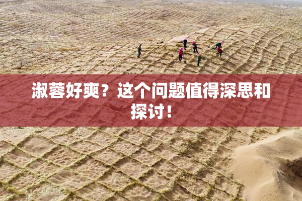 淑蓉好爽？这个问题值得深思和探讨！