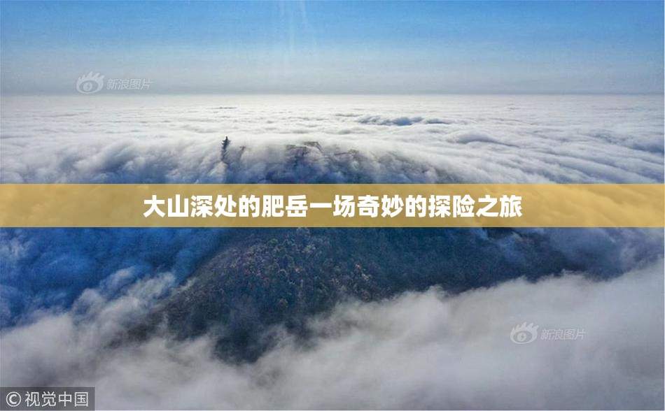 大山深处的肥岳一场奇妙的探险之旅