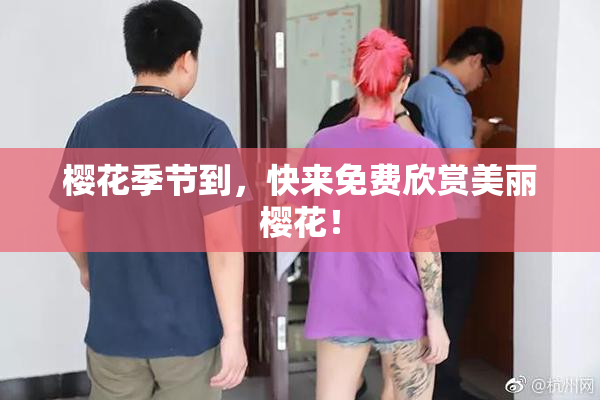 樱花季节到，快来免费欣赏美丽樱花！