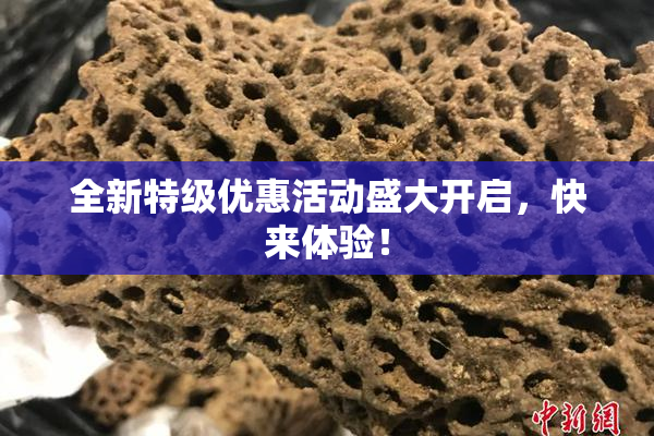 全新特级优惠活动盛大开启，快来体验！
