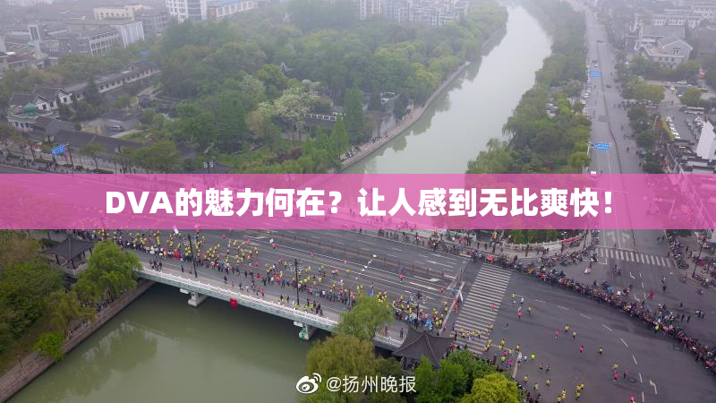 DVA的魅力何在？让人感到无比爽快！