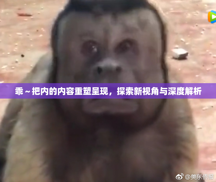 乖～把内的内容重塑呈现，探索新视角与深度解析