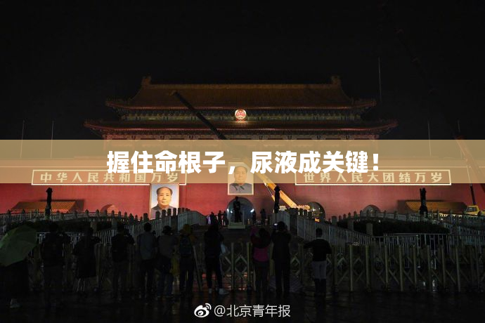 握住命根子，尿液成关键！