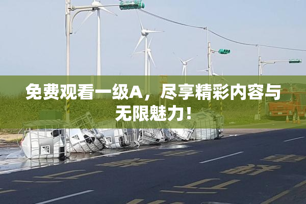 免费观看一级A，尽享精彩内容与无限魅力！