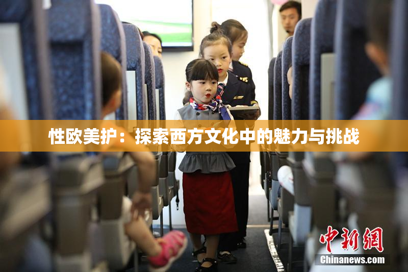 性欧美护：探索西方文化中的魅力与挑战