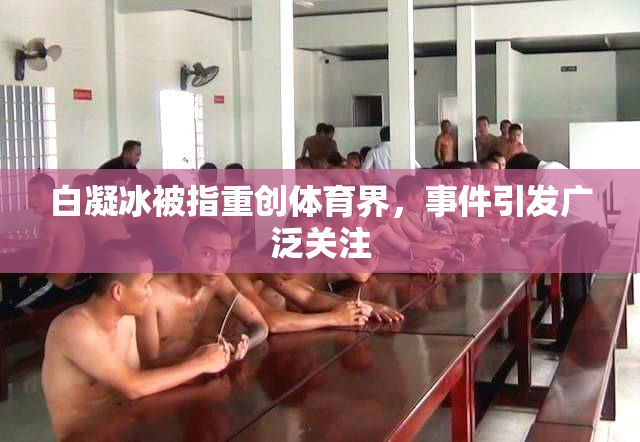 白凝冰被指重创体育界，事件引发广泛关注