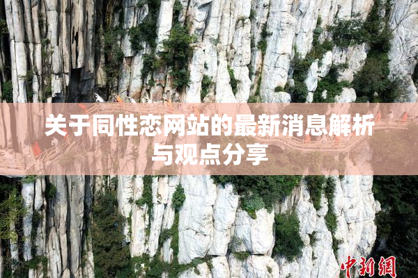 关于同性恋网站的最新消息解析与观点分享