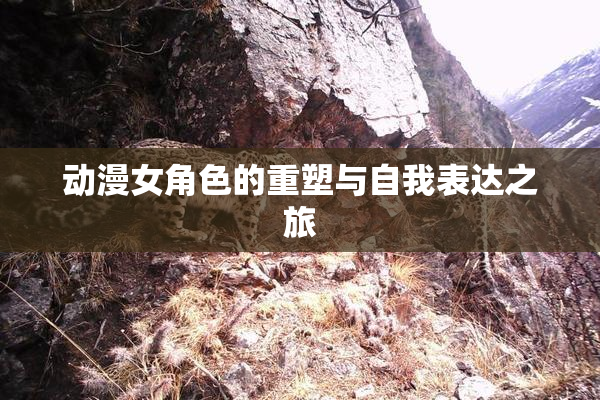 动漫女角色的重塑与自我表达之旅
