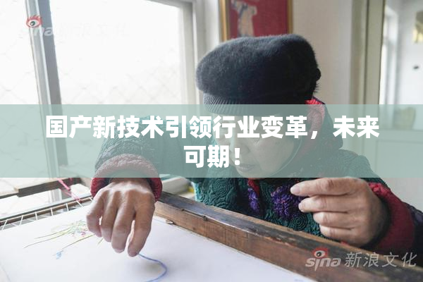 国产新技术引领行业变革，未来可期！