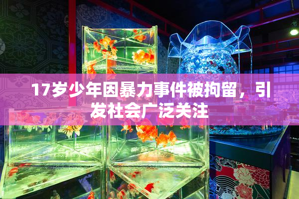 17岁少年因暴力事件被拘留，引发社会广泛关注