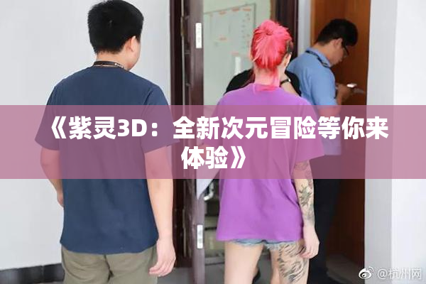 《紫灵3D：全新次元冒险等你来体验》