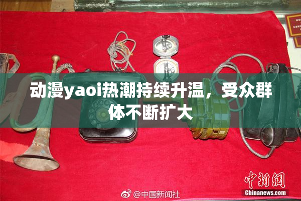 动漫yaoi热潮持续升温，受众群体不断扩大