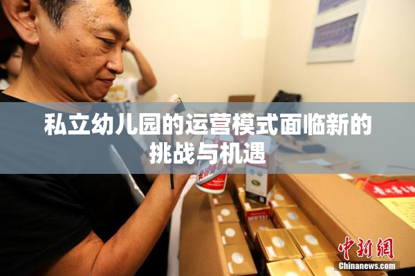 私立幼儿园的运营模式面临新的挑战与机遇