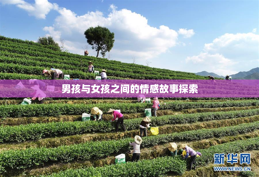 男孩与女孩之间的情感故事探索