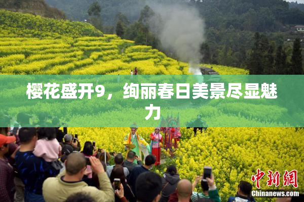 樱花盛开9，绚丽春日美景尽显魅力