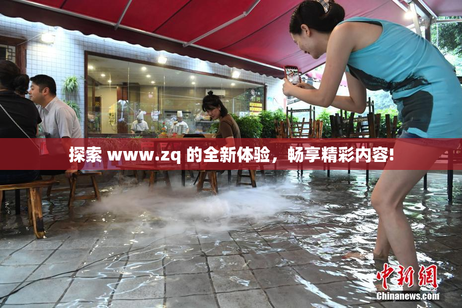 探索 www.zq 的全新体验，畅享精彩内容!