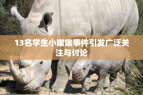 13名学生小嫩嫩事件引发广泛关注与讨论