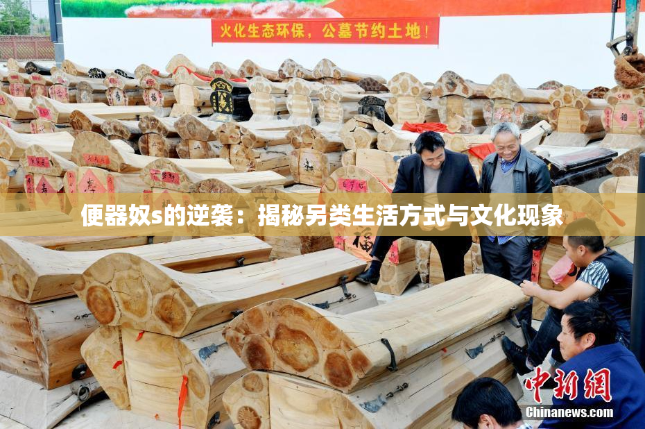 便器奴s的逆袭：揭秘另类生活方式与文化现象