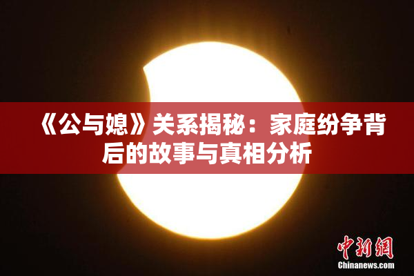 《公与媳》关系揭秘：家庭纷争背后的故事与真相分析