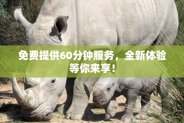 免费提供60分钟服务，全新体验等你来享！