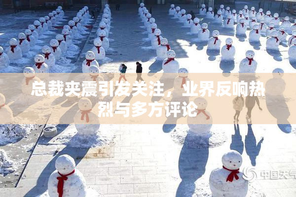 总裁夹震引发关注，业界反响热烈与多方评论