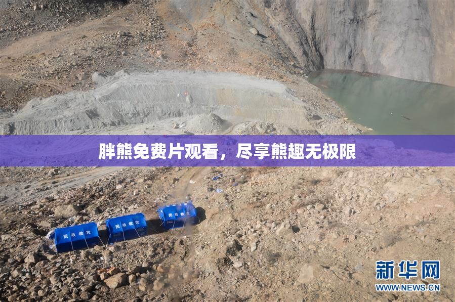 胖熊免费片观看，尽享熊趣无极限