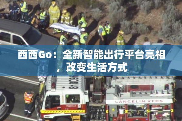 西西Go：全新智能出行平台亮相，改变生活方式