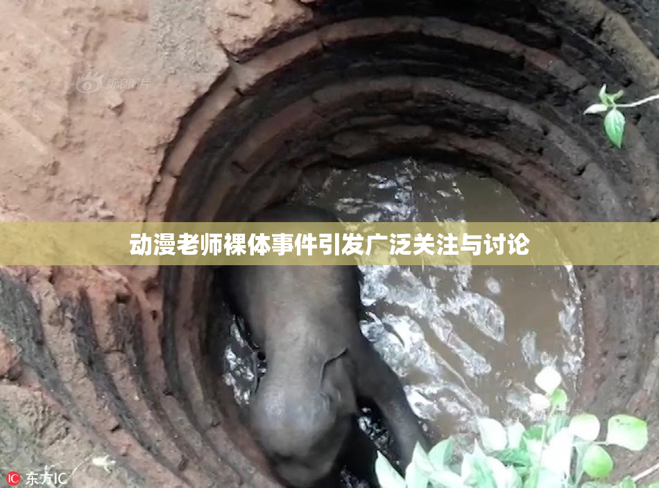 动漫老师裸体事件引发广泛关注与讨论