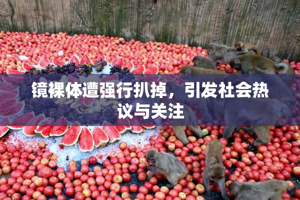 镜裸体遭强行扒掉，引发社会热议与关注