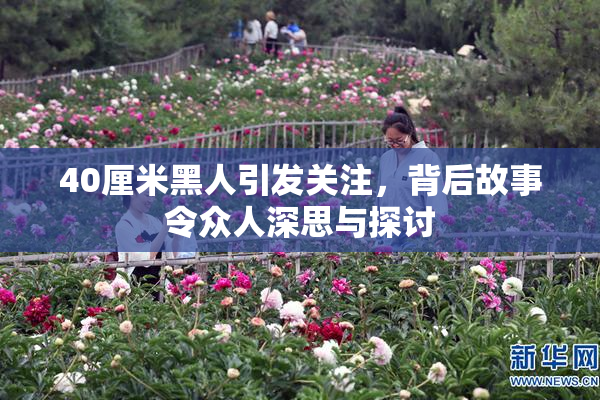 40厘米黑人引发关注，背后故事令众人深思与探讨