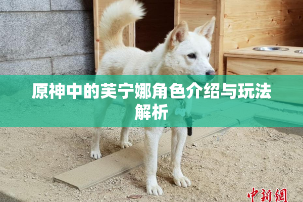 原神中的芙宁娜角色介绍与玩法解析
