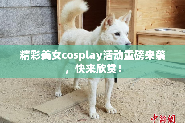 精彩美女cosplay活动重磅来袭，快来欣赏！