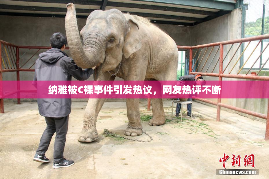 纳雅被C裸事件引发热议，网友热评不断