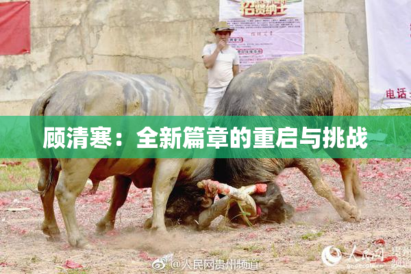 顾清寒：全新篇章的重启与挑战