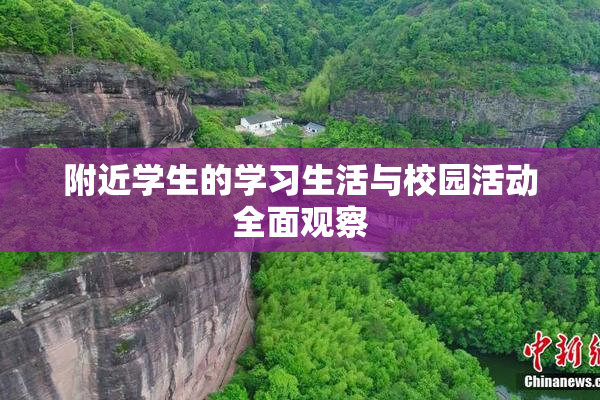 附近学生的学习生活与校园活动全面观察