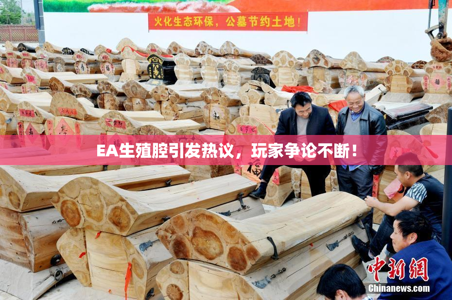 EA生殖腔引发热议，玩家争论不断！
