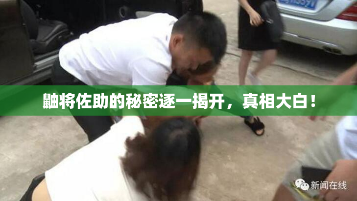 鼬将佐助的秘密逐一揭开，真相大白！