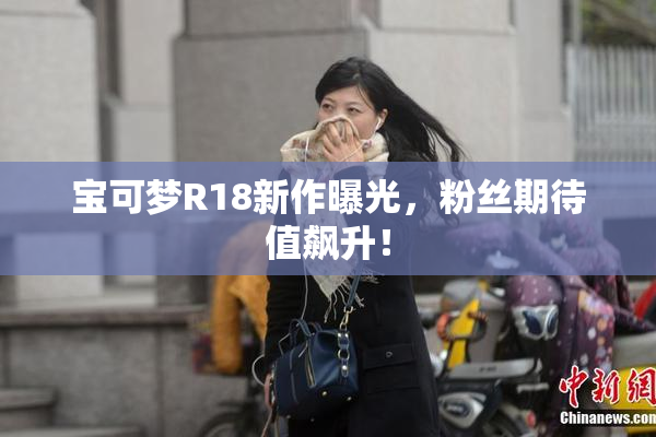 宝可梦R18新作曝光，粉丝期待值飙升！