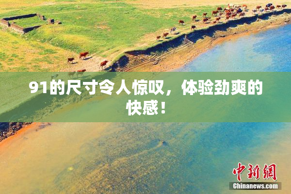 91的尺寸令人惊叹，体验劲爽的快感！
