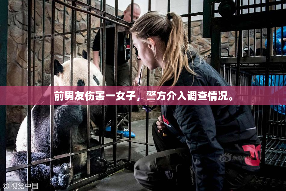 前男友伤害一女子，警方介入调查情况。