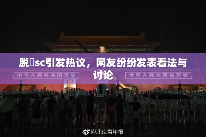 脱糞sc引发热议，网友纷纷发表看法与讨论
